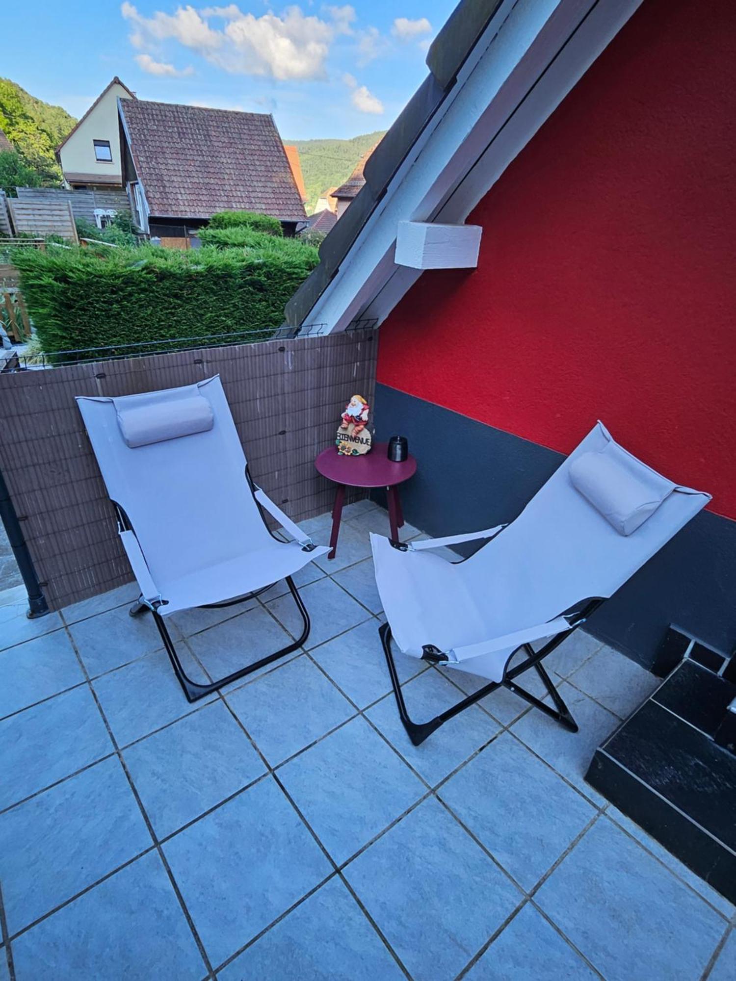 Gite Vallee De Munster 3 Etoiles Chez Flavie & Ludo Muhlbach-sur-Munster Buitenkant foto